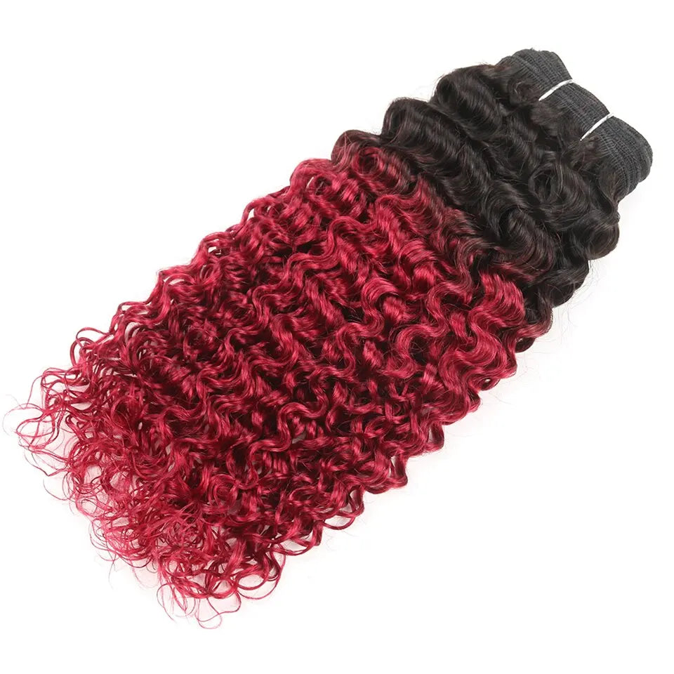 Sleek Brazilian Nature Dream Curl P4/27 P1B/30 Ombre T1B/30 1B/Pink Red 99J Double Drawn Remy Human Hair Weave Bundles
