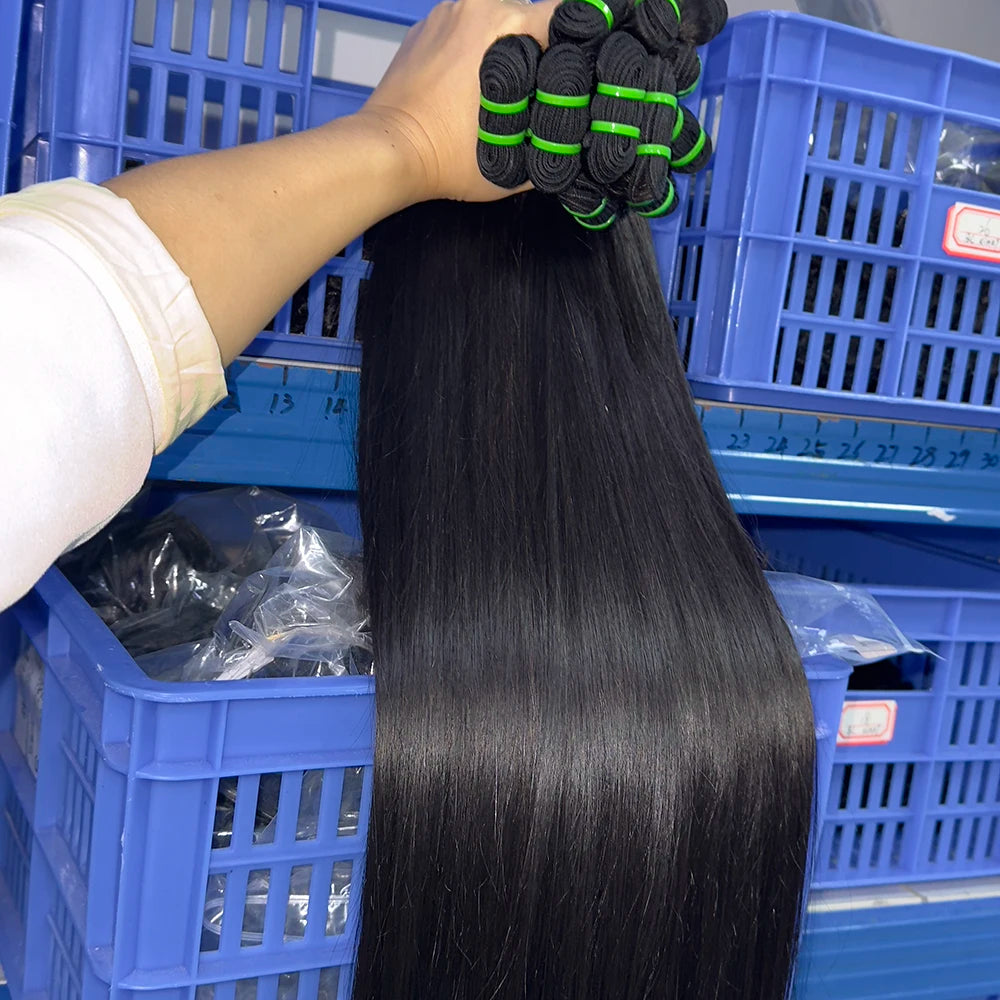 Raw Burmese Curly Hair Bundles With Closure Cuticle Aligned Burmese Kinky Curly Bundles Cambodian Hair