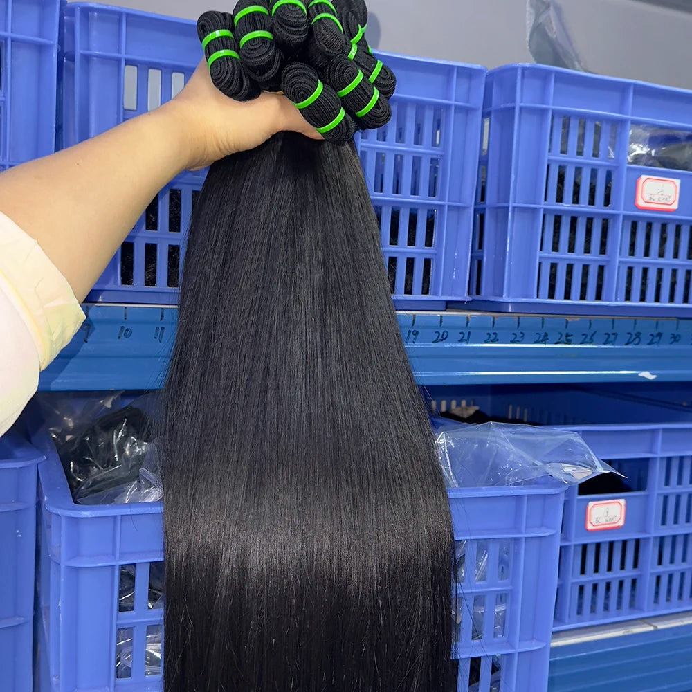 Raw Burmese Curly Hair Bundles With Closure Cuticle Aligned Burmese Kinky Curly Bundles Cambodian Hair