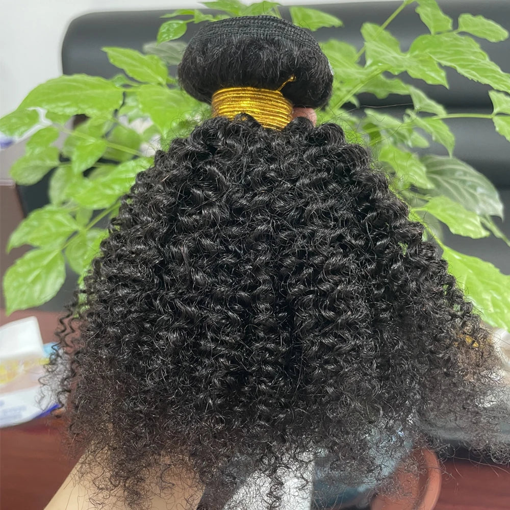 Brazilian Human Hair Bundles Afro Kinky Curly Bundles Human Hair Weaveing Remy Hair Extension For Women 1 2 3 Pcs Natural Color