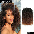 Spark 1/3/4 Bundles Afro Kinky Curly Human Hair Extensions Ombre Brazilian 100% Human Hair Weave Bundles